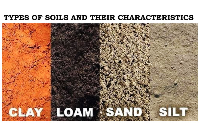 types of soils