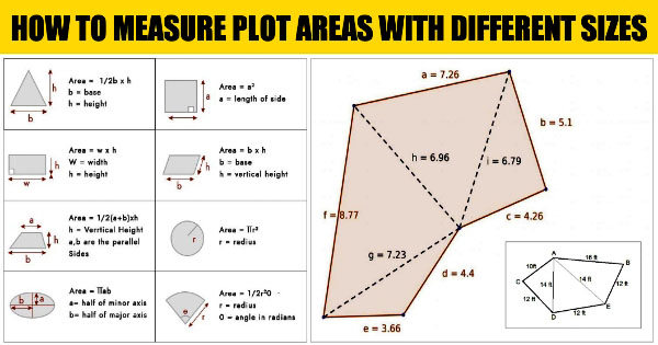 measure plot areas